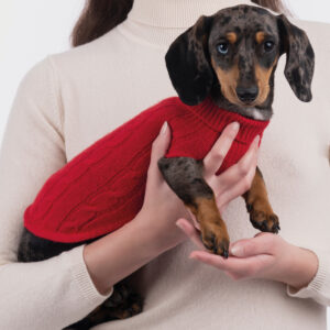 Maglioncino per cane